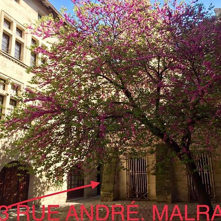 Appartement A 50 M De La Place Aux Herbes Uzès Екстериор снимка