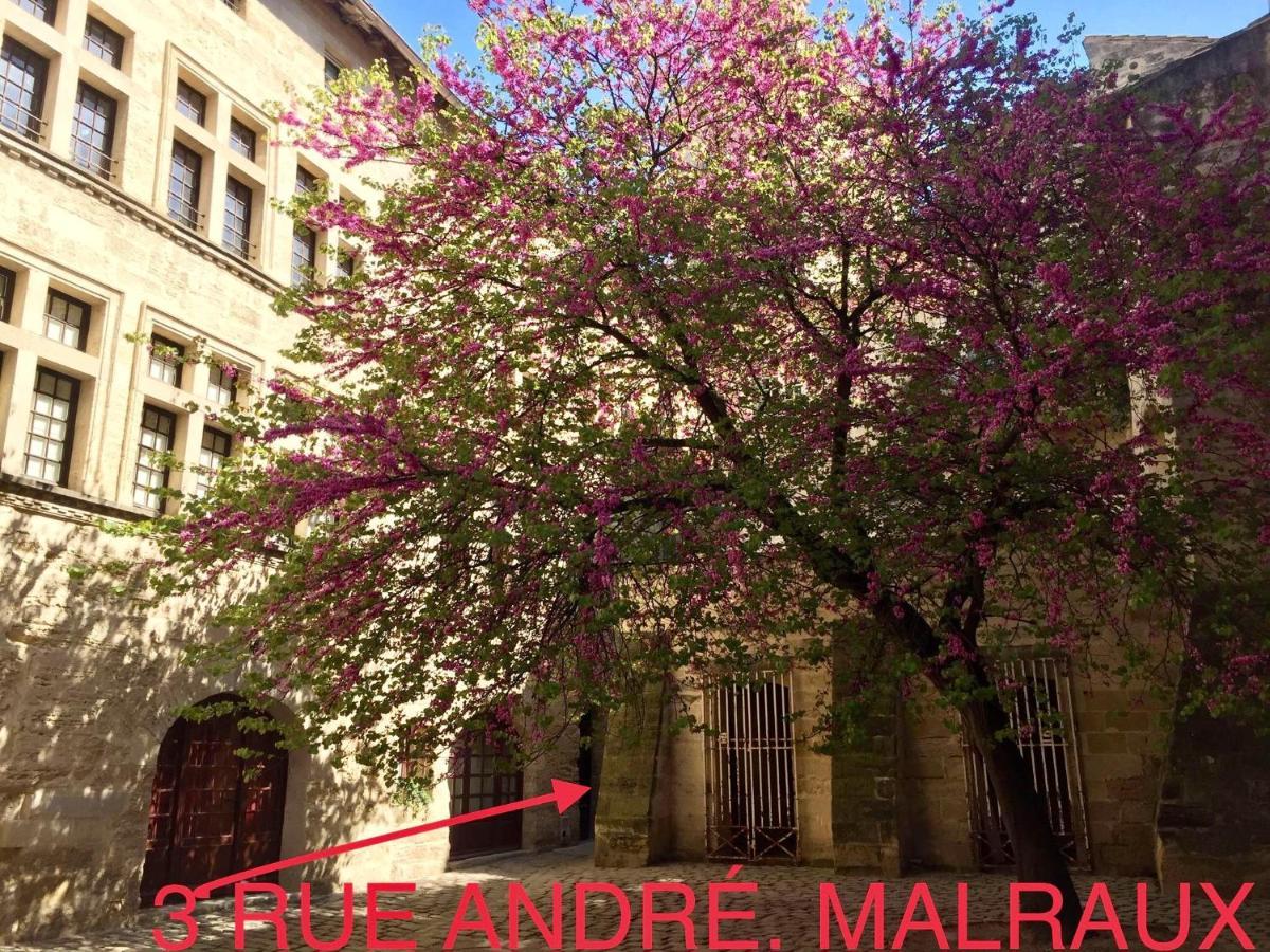 Appartement A 50 M De La Place Aux Herbes Uzès Екстериор снимка