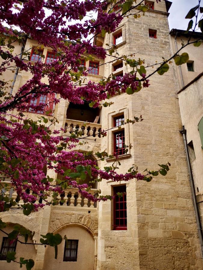 Appartement A 50 M De La Place Aux Herbes Uzès Екстериор снимка